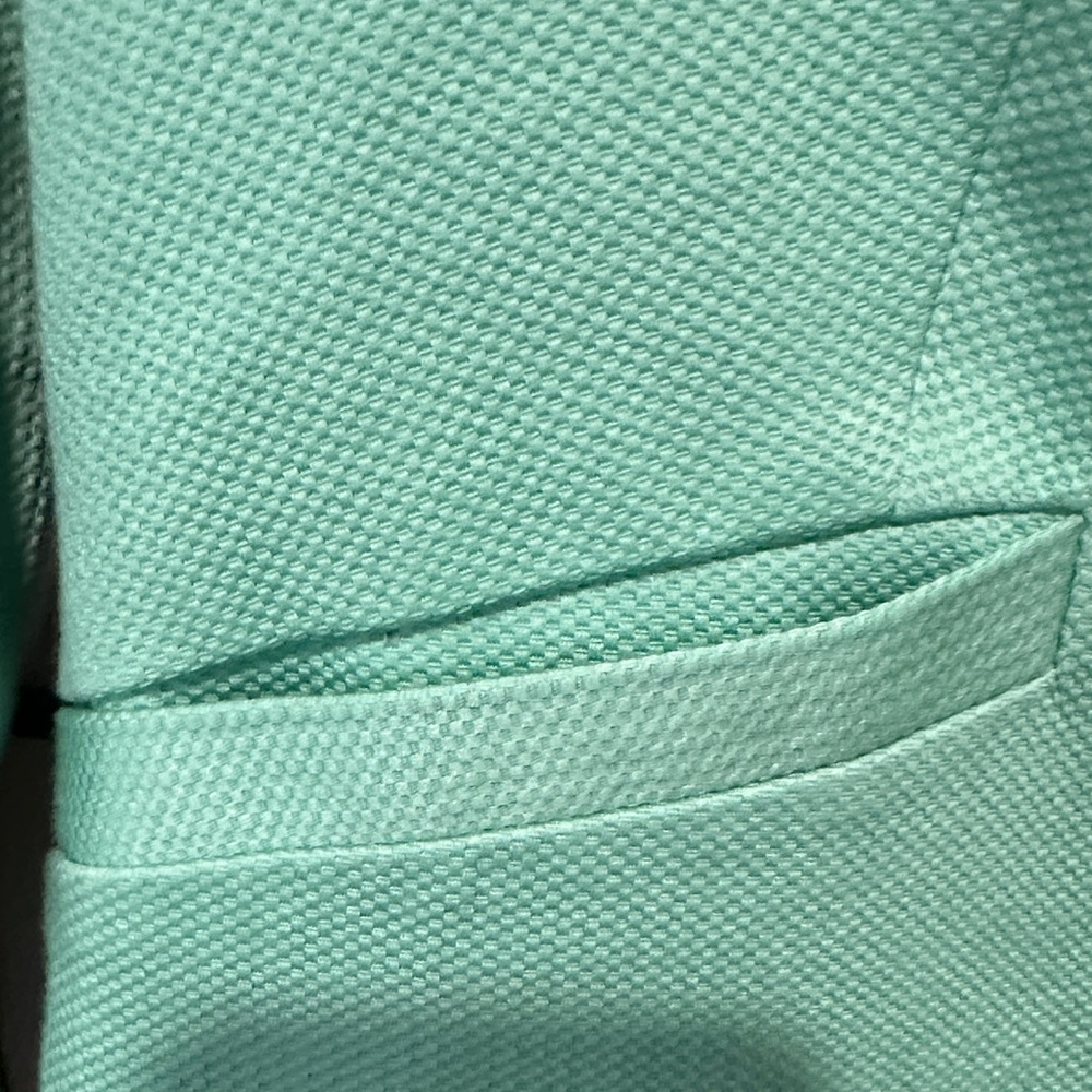 The Limited Mint Green EUC Blazer Lined Cropped Medium - Picture 3 of 10
